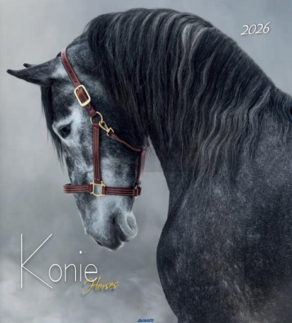 Kalendarz 2026 ścienny 32x32cm Konie