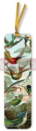 Zakładka do książki BKMK82 Kolibry Ernst Haeckel