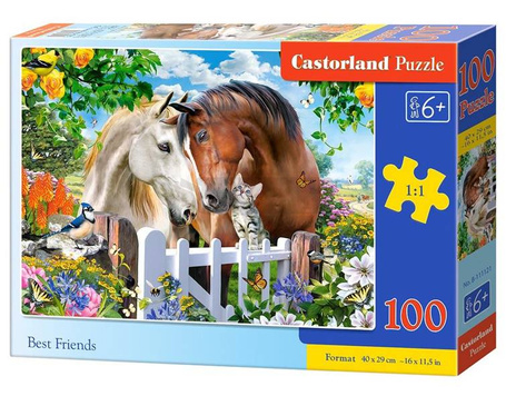 Puzzle 100 Best Friends CASTOR