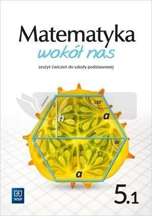 Matematyka Wokół nas SP 5/1 ćw. WSIP