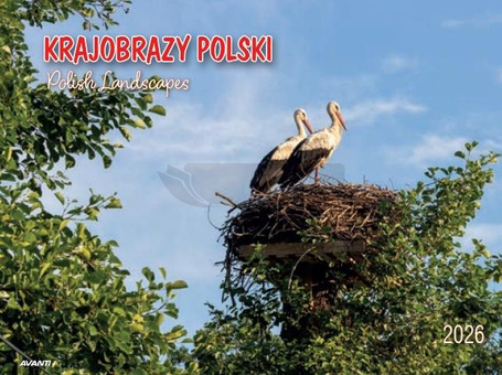 Kalendarz 2026 ścienny album. 28,5x20cm Krajobrazy