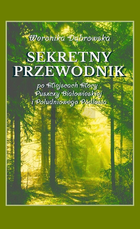 Sekretny Przewodnik
