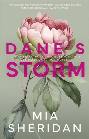 Dane's Storm