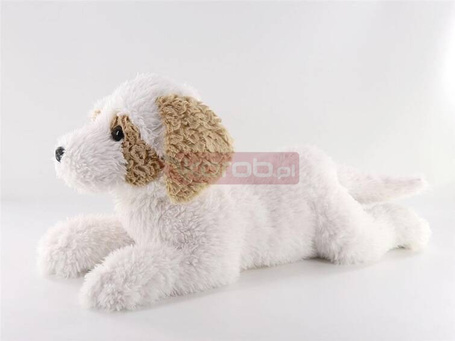 Maskotka pies Hawańczyk 60cm leżący