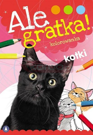 Ale gratka! Kotki
