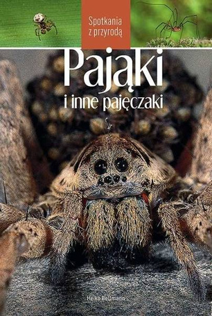 Pająki i inne pajęczaki. Spotkania z przyrodą