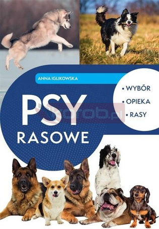 Psy rasowe