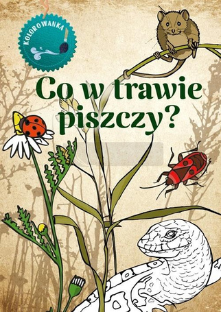 Kolorowanka. Co w trawie piszczy?