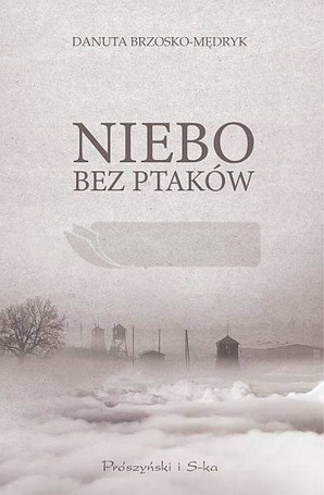 Niebo bez ptaków