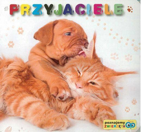 Poznajemy zwierzęta - Przyjaciele