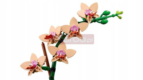 LEGO BOTANICALS 10343 MAŁA ORCHIDEA zestaw klocków kwiaty, prezent