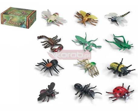 Owady insekty MIX
