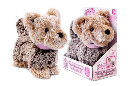 Piesek chodzący na smyczy brązowy