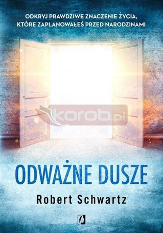 Odważne dusze. Odkryj prawdziwe znaczenie życia..