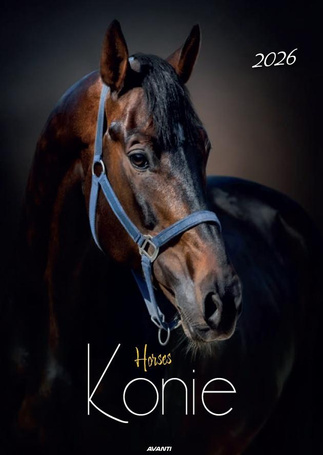 Kalendarz 2026 ścienny Konie