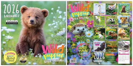 Kalendarz 2026 ścienny Classic Wild Puppies