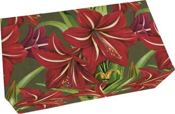 Mydło 200g zapach jabłkowy Gwiazda Betlejemska BN