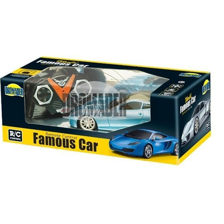 Famous car 1/24