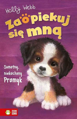 Zaopiekuj się mną. Samotny, niekochany Promyk