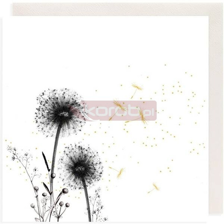 Karnet złocony kwadrat CL3807_BL Dmuchawce