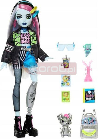 LALKA MONSTER HIGH Frankie Stein + zwierzątko piesek Watzie HXH73