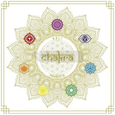Chakra + CD