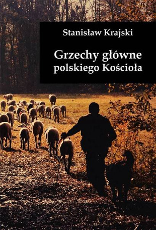 Grzechy główne polskiego Kościoła