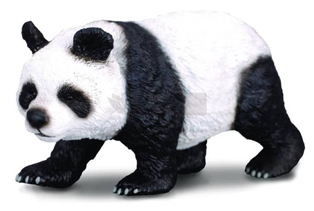 Panda wielka