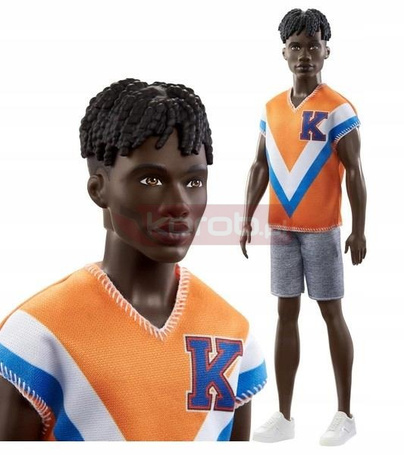 LALKA BARBIE KEN STYLOWY FASHIONISTAS HPF79