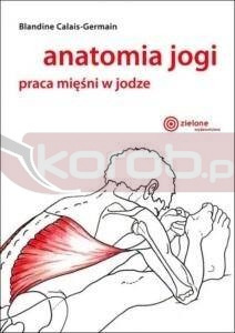 Anatomia jogi
