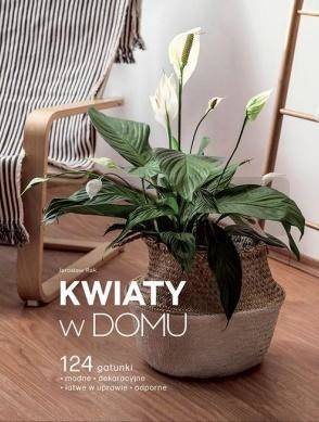 Kwiaty w domu