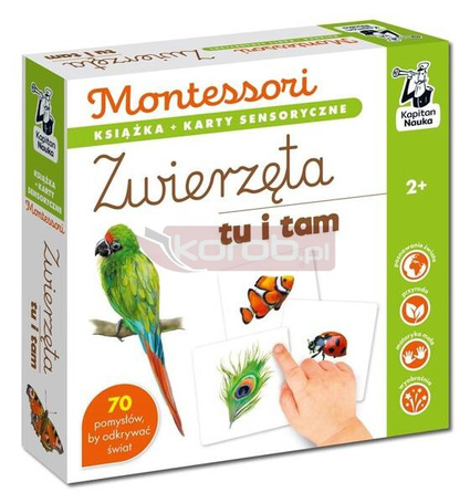 Montessori. Zwierzęta tu i tam. Karty sensoryczne