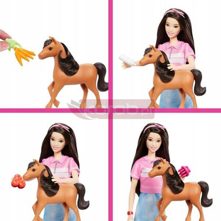 LALKA BARBIE Renee Opieka nad kucykiem zestaw z serialu "Zagadki Barbie" HXJ40