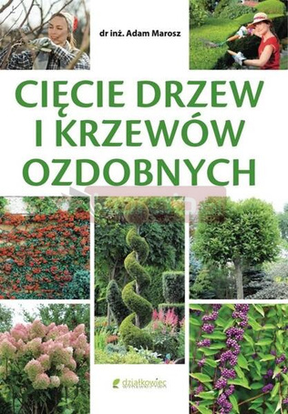 Cięcie drzew i krzewów ozdobnych