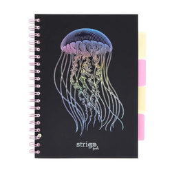 Kołozeszyt Pads B5/100K kratka Głębiny Meduza