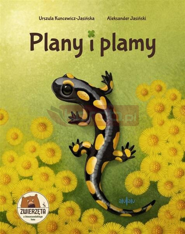 Plany i plamy