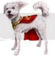 Superman Film: Interaktywny Krypto