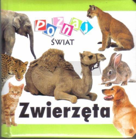 Poznaj świat - Godzina, dobra, rok   LIWONA