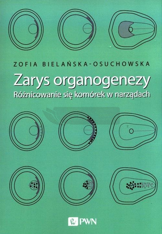 Zarys organogenezy
