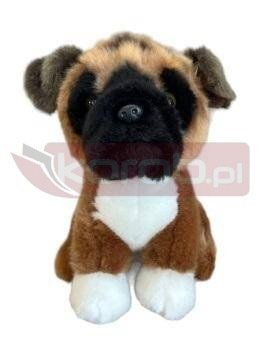 Bokser 19cm