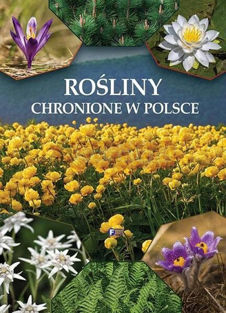 Rośliny chronione w Polsce