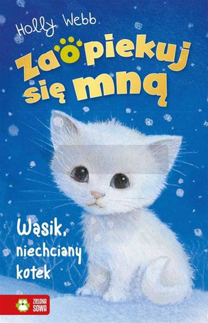 Zaopiekuj się mną. Wąsik, niechciany kotek