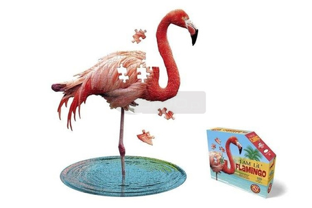 Puzzle konturowe 100 I am Lil - Flaming