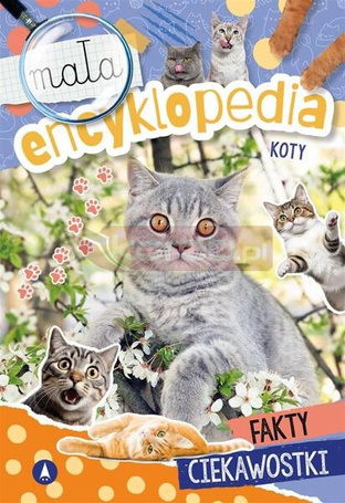 Mała encyklopedia. Koty
