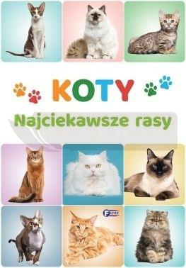Koty. Najciekawsze rasy