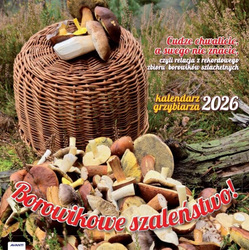 Kalendarz 2026 ścienny albumowy 30x30cm Grzybiarza