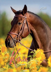 Kalendarz 2026 ścienny Konie