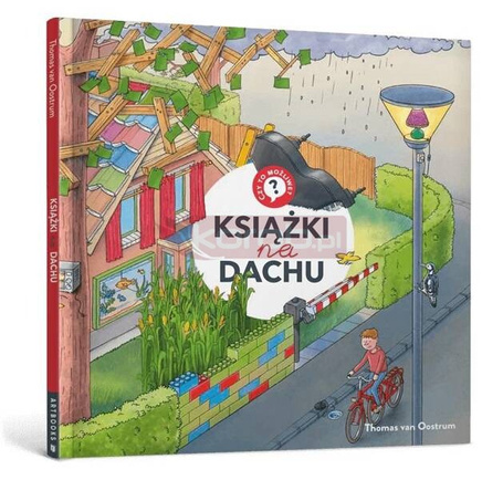 Książki na dachu