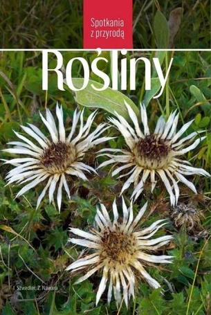 Spotkania z przyrodą. Rośliny