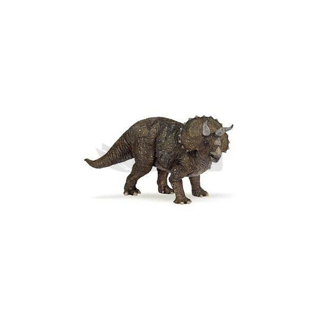 Triceratops